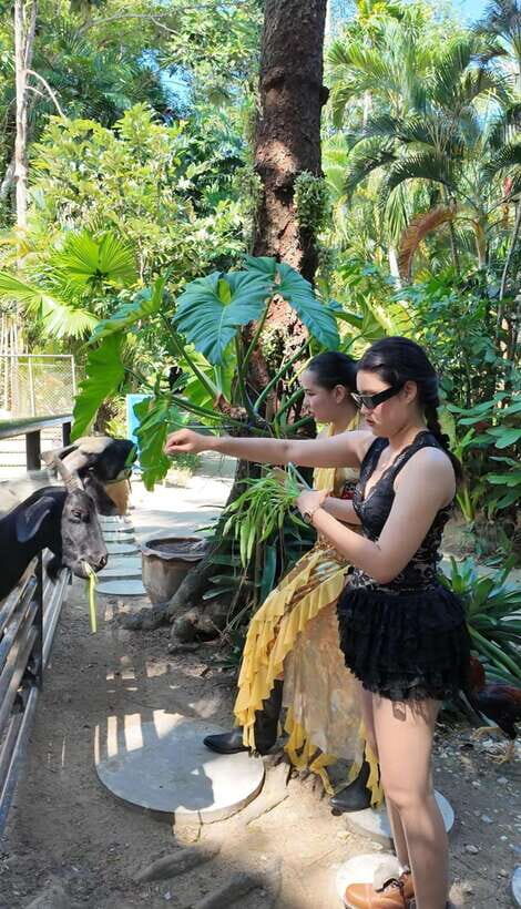 Phuket: Bird Park Entry Ticket - Who Will Love This?