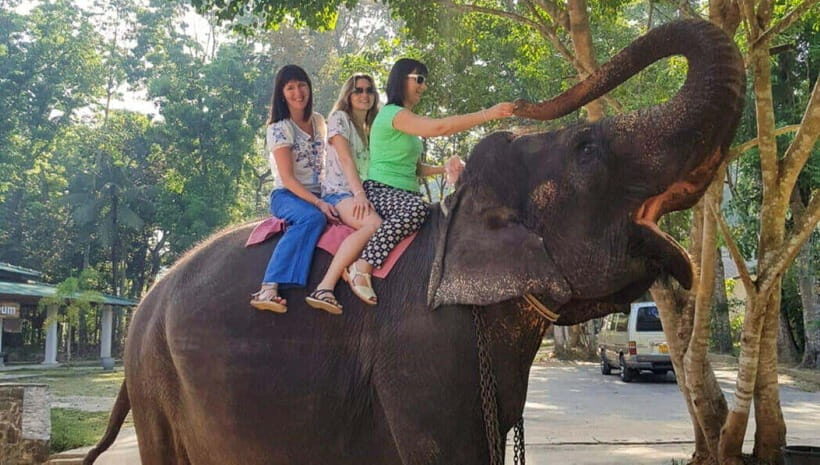Pinnawala,Kandy Day Tour from Colombo/Negombo - Real Traveler Insights