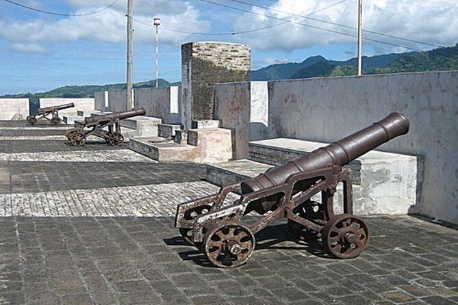 Pirates of the Caribbean SVG with Trubb Taxi Tours - Practical Details and What You Can Expect