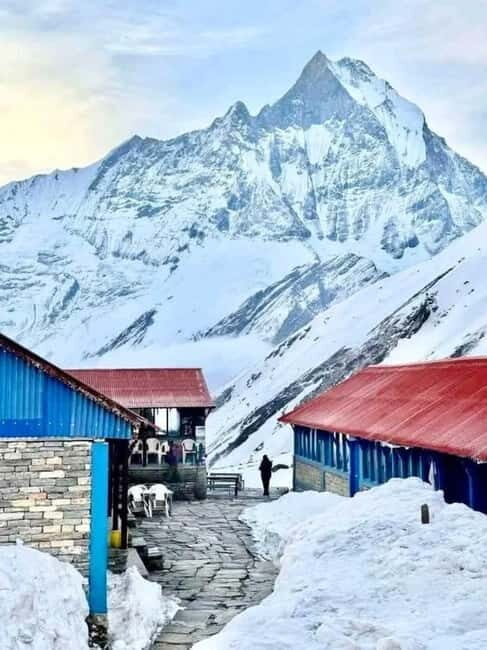 Pkr/Kathmandu: 5-Day Annapurna Base Camp & Hot spring Trek - Transport, Lodging, and Guides: What to Expect
