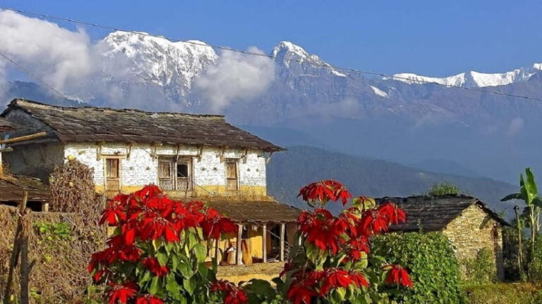 Pokhara: Annapurna Day Hike with Panoramic Views - What the Guides Bring to the Table