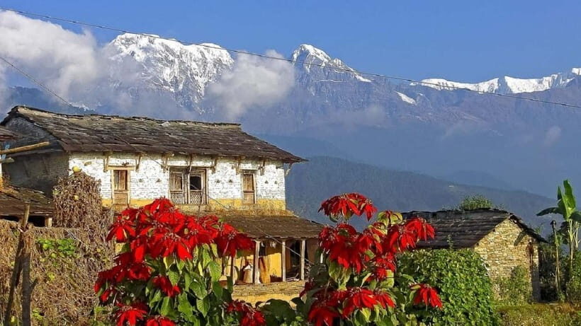 Pokhara: Annapurna Day Hike with Panoramic Views - What the Guides Bring to the Table