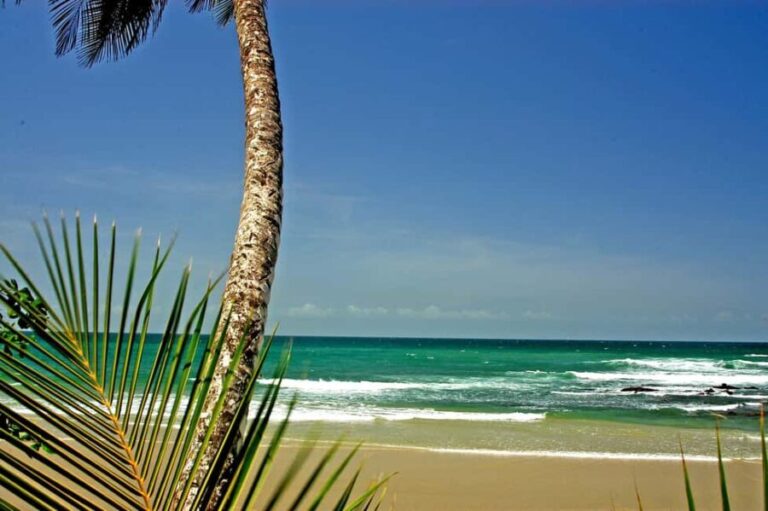 Port of Spain: Coastal Tour of Trinidad - Maracas Bay: The Crown Jewel of Trinidad’s Beaches
