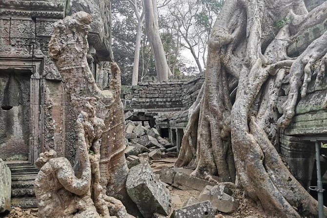 Preah Khan, Ta Prohm, Bayon Off Beaten Track - Detailed Breakdown of the Itinerary