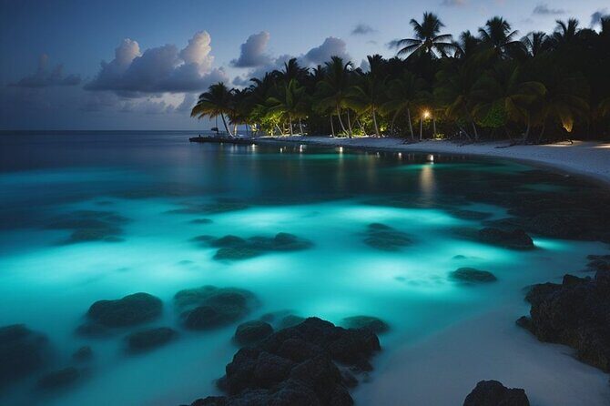 Private Bioluminescent Bay Tour - Who Will Love This Tour?