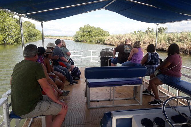 Private Black River Safari Tour from Montego Bay - Who Should Book This Tour?