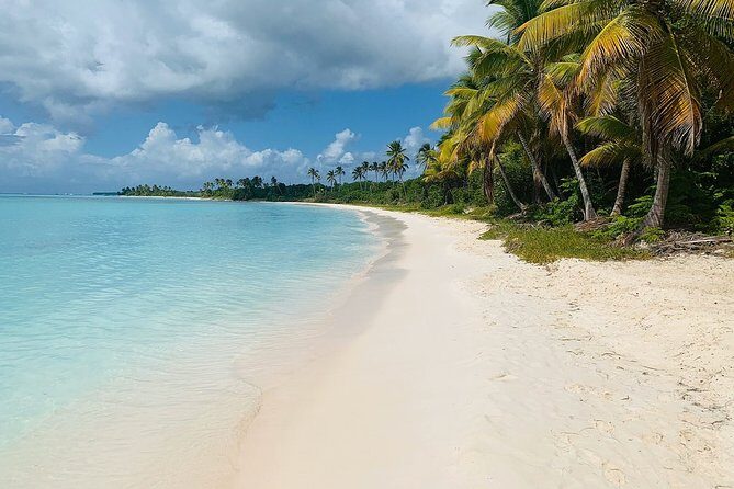 Private Boat Nature Tour of Saona Island - Authentic Experiences Reflecting in Reviews