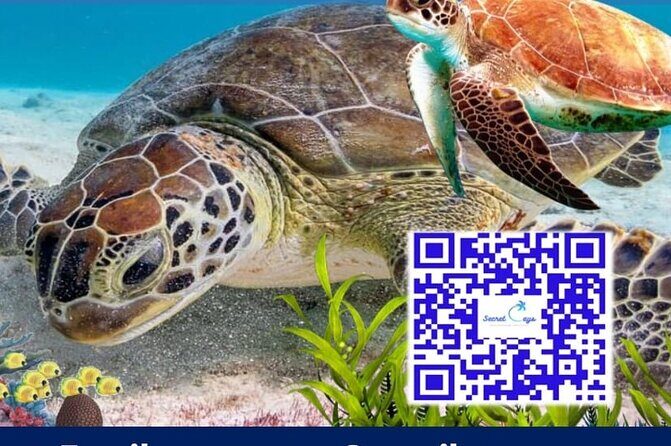 Private Charter for snorkeling, swimming pigs, turtles & fishing.... - Who Should Consider This Tour?