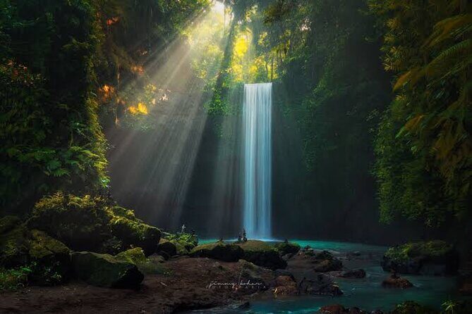 Private Day Tour To Waterfalls And Ubud Sightseeing - Waterfalls: The Heart of the Experience