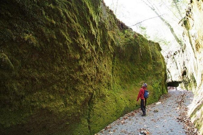 Private Day Trip of Lake Shikotsu and Moss Canyon - Destination Breakdown: What Makes Each Stop Special