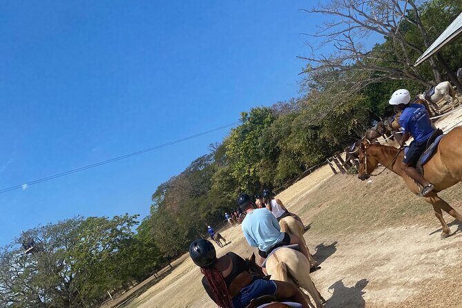 Private Dunns River Falls and Horse Back Riding - Final Thoughts: Who is This Tour Best For?