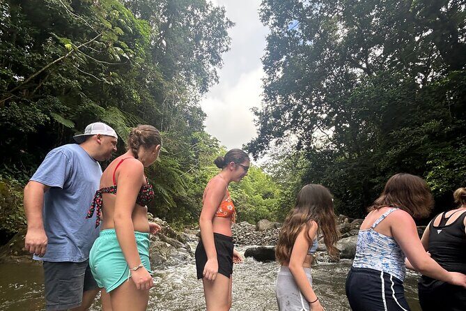 Private El Yunque Tour to Waterslide and Waterfalls - Why Choose This Tour?