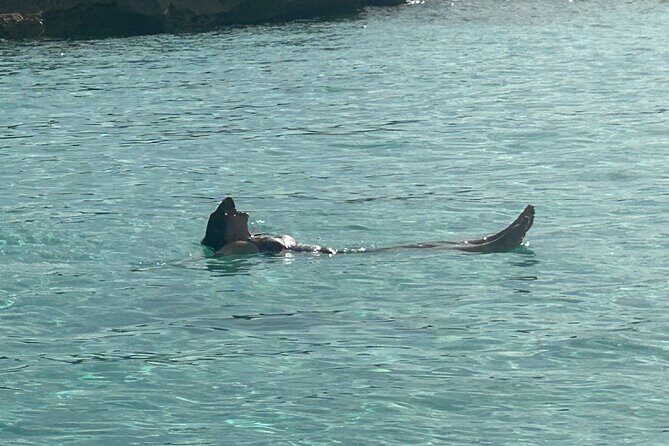 Private Full Day Cruise Tour in Rose Island with Snorkeling - The Experience: What Travelers Are Saying