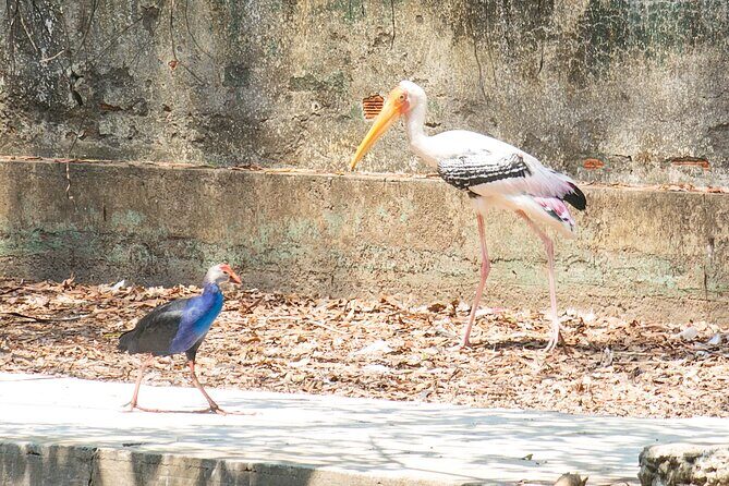 Private Full Day Mekong Delta Tour to Dong Thap Muoi Wetlands - What Makes This Tour Stand Out?