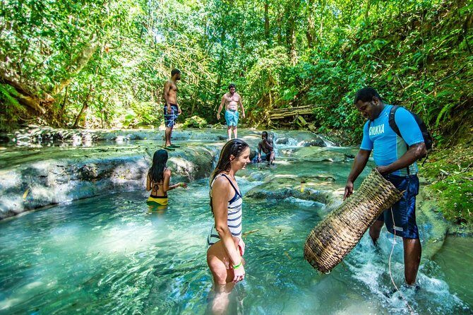 Private Mayfield Falls Waterfalls Tour [ Transportation ] - Why Choose the Private Mayfield Falls Waterfalls Tour?