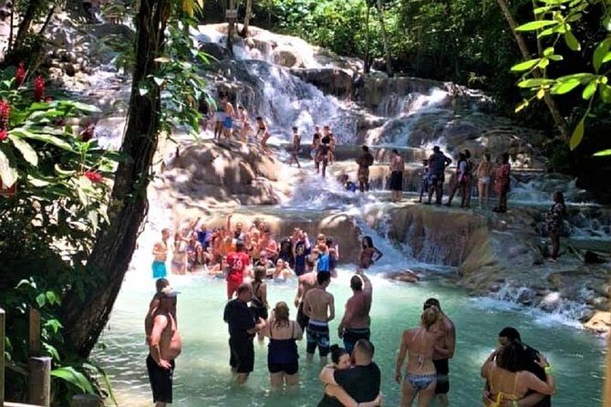 Private Tour - Dunn's River Falls and Ocho Rios Experience from Ocho Rios - Why This Tour Offers Good Value