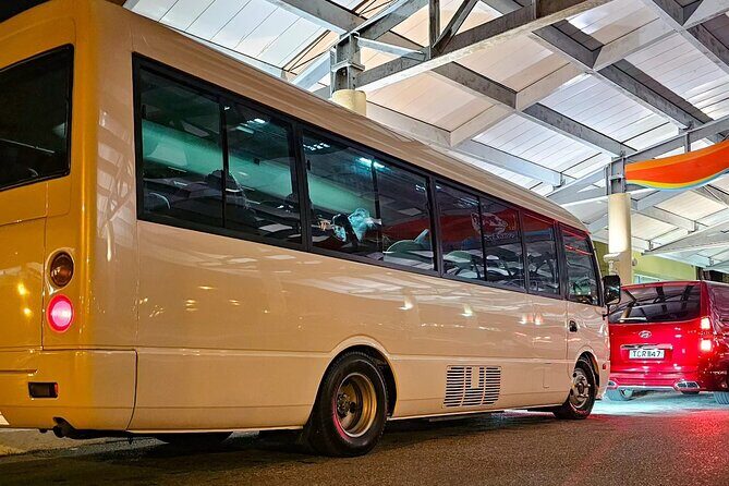 Private Transfer from Piarco Airport to San Fernando - Why This Service Stands Out