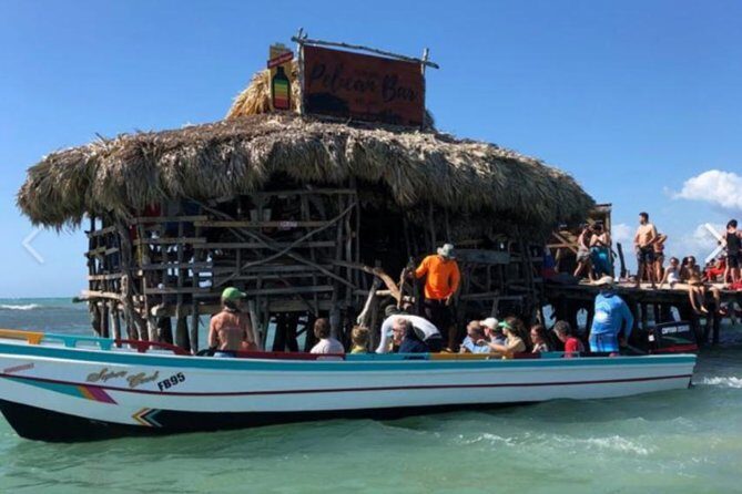 [PRIVATE] YS Falls, Black River, Pelican Bar - Entrance & Lunch - How the Tour Comes Together: What Makes It Special