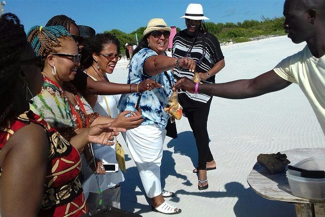 Providenciales Group Island Tour - Who This Tour Is Best For