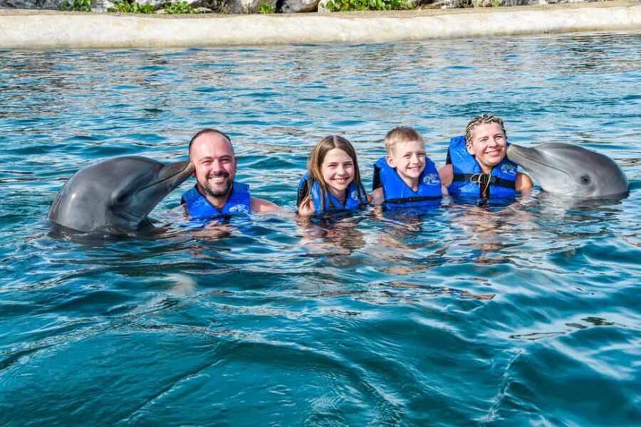 Puerto Plata: Ocean World Adventure Park Swim with Dolphins - What to Expect When You Visit Ocean World