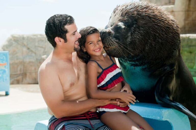 Puerto Plata Ocean World Tickets - An In-Depth Look at Puerto Plata Ocean World Tickets