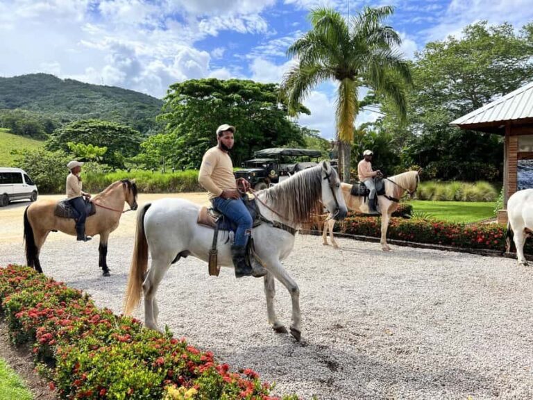 Punta Cana: Buggy and Zipline Adventure at La Hacienda - Buggies and Jungle Exploration
