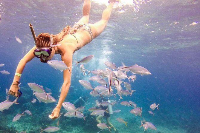 Punta Cana Catalina Island Catamaran Tour Package Deal - The Practicalities and What They Mean for You