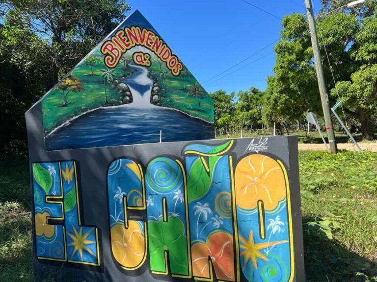 Punta Cana: Coffee Plantation, Chocolate, and Sugar Cane - The Itinerary: What You’ll See and Do