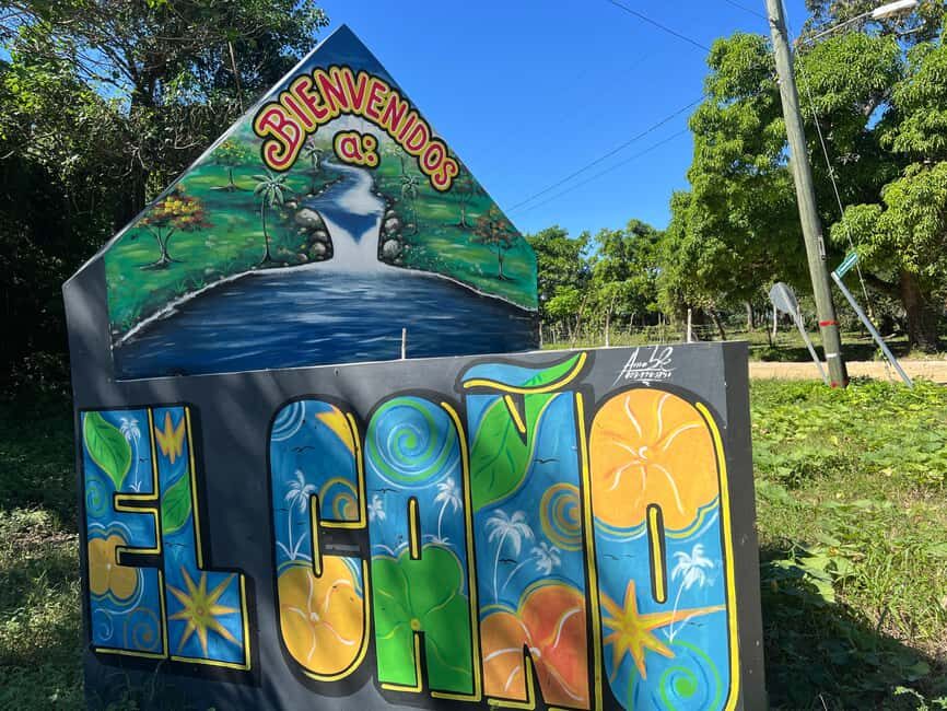 Punta Cana: Coffee Plantation, Chocolate, and Sugar Cane - The Itinerary: What You’ll See and Do
