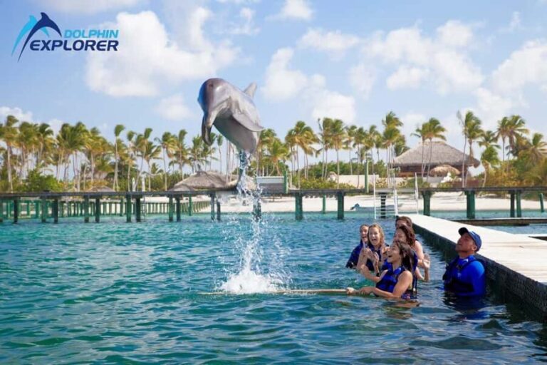 Punta Cana Dolphin Adventure: 40-Minute Interaction - What Travelers Say