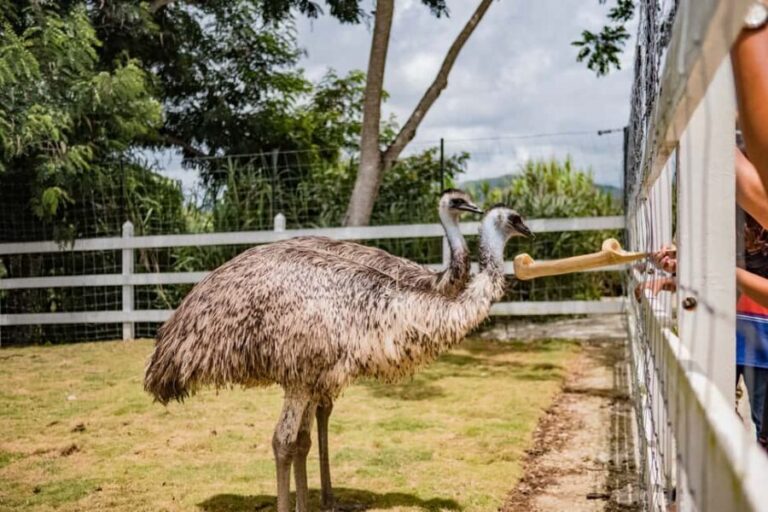 Punta Cana: Eco Park Safari Adventure - Why This Tour May Be Perfect for You
