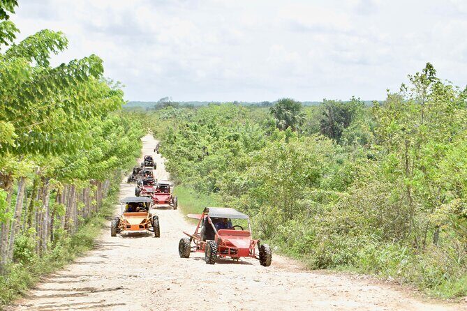 Punta Cana: Ecological Adventure in Buggies from Santo Domingo - Who Will Enjoy This Tour?
