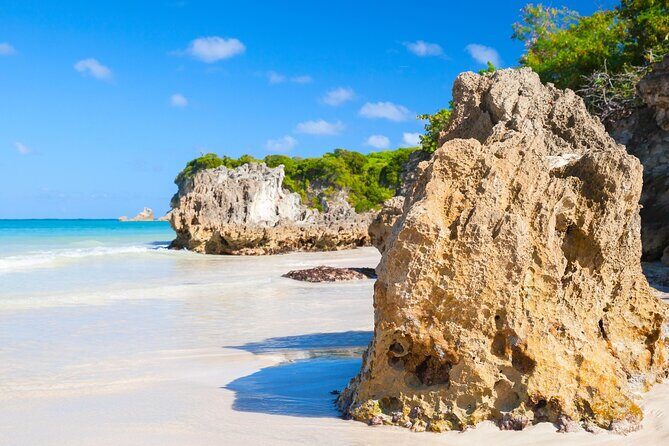 Punta Cana Guided Buggy Adventure Tour - Practical Tips for Prospective Participants