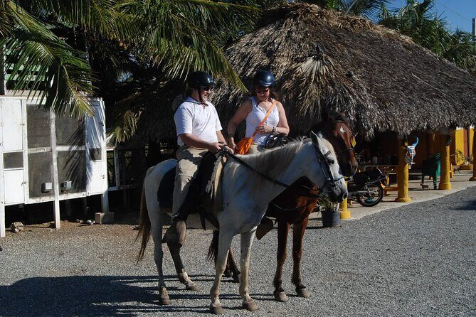 Punta Cana Horseback Riding on the Beach - The Practicalities
