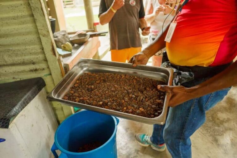 Punta Cana safari experience and historical city tour - Who Should Consider This Tour?