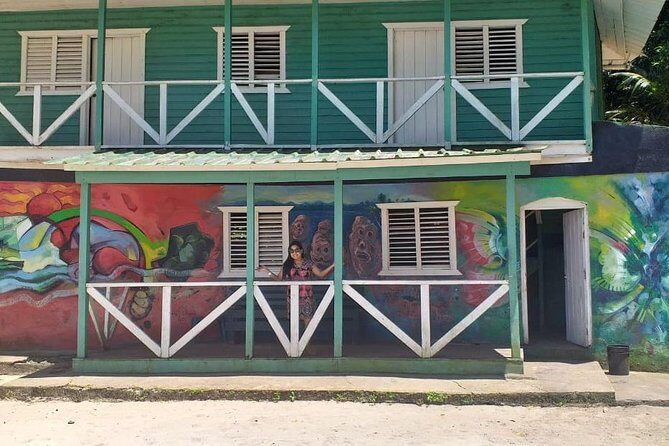 Punta Cana: Samaná, Lemon Falls and Bacardi Island - Who Will Love This Tour?