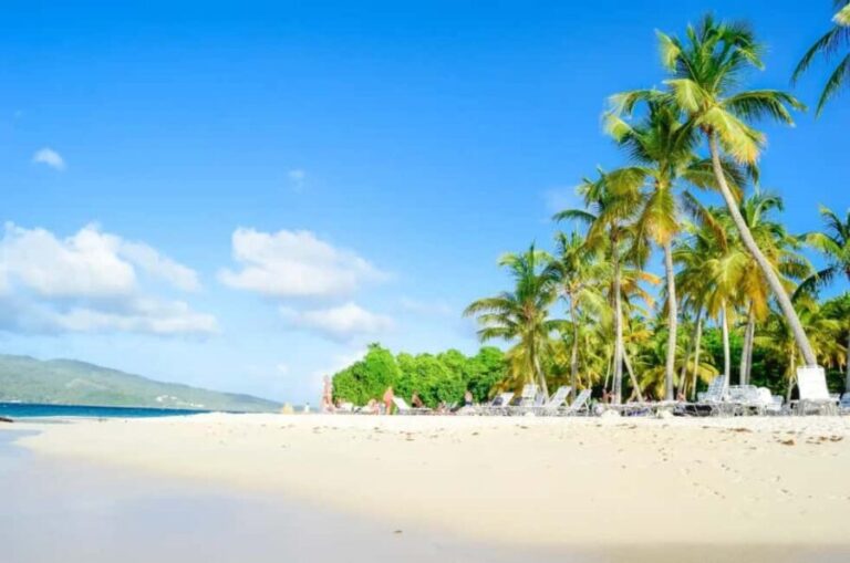 Punta Cana: Samaná Whale Watching and El Limón Day Tour - The Overall Experience and Practicalities