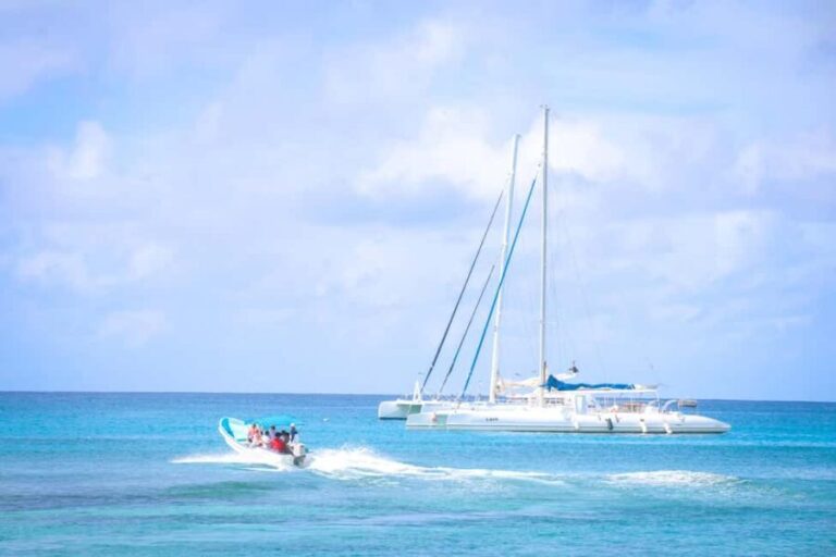 Punta Cana: Saona Island Catamaran - Practical Details & What to Expect