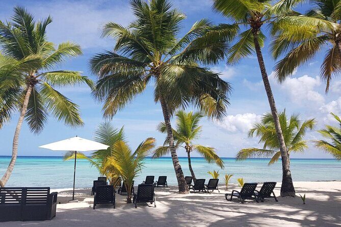 Punta Cana: Saona Island Food And Drink Catamaran Hotel Pickup - The Itinerary: What You Can Expect