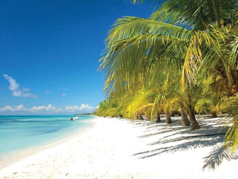 Punta Cana: Saona Island Speedboat and Catamaran Tour - What We Like About the Tour