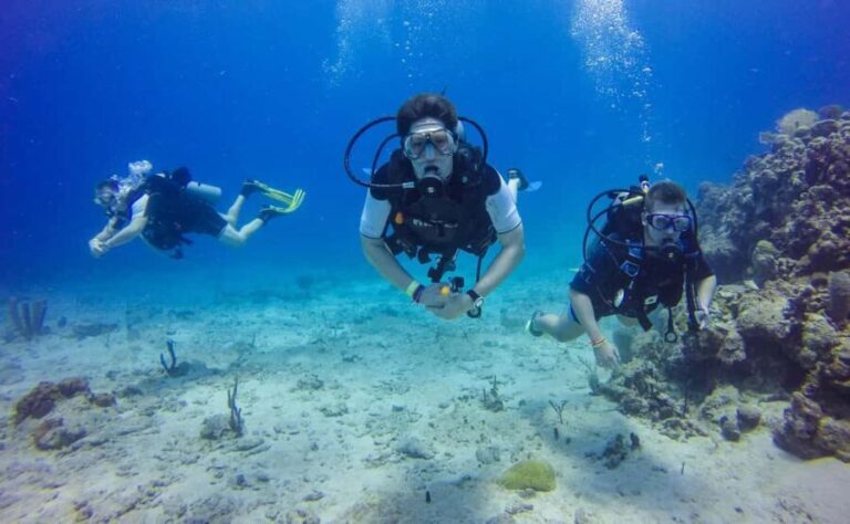 Punta Cana: Scuba Diving Adventure to Catalina Island - The Value and Practical Considerations