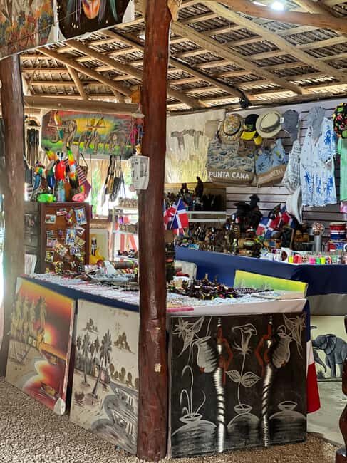 Punta Cana: Wild Off-Road Dune Buggy Adventure - The Experience and Its Value