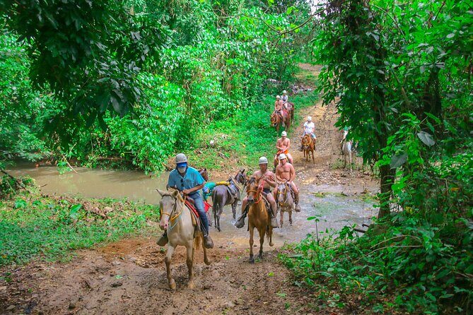 Punta Cana Zipline Adventure with Buggies and Horseback Riding - Authenticity and Value
