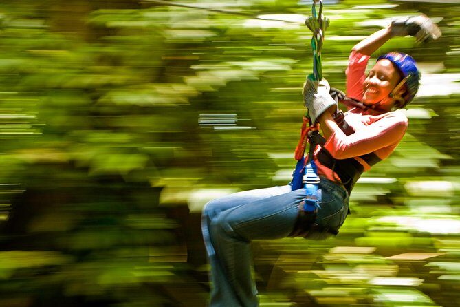 Rainforest Canopy Adventure from Vieux Fort or North Island, St Lucia - The Details: What’s Included and What’s Not
