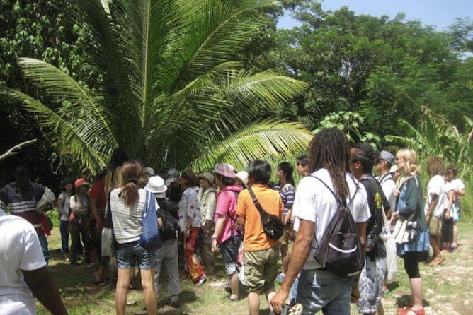 Rastafari Indigenous Village Tour - Who Should Consider This Tour?