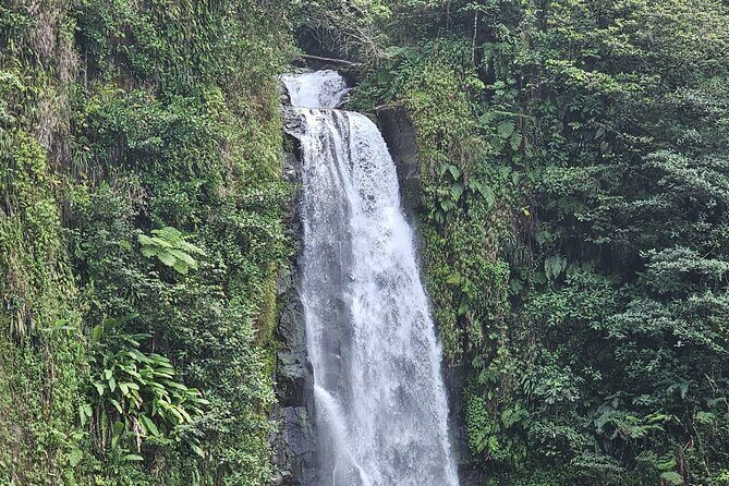 Relax in Hot Springs and swim in Titou Gorge and Trafalgar Falls - What Makes This Tour Stand Out?