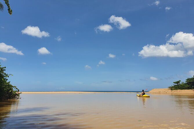 Rental Kayaking or Stand-up Paddle 2H - Convenience, Cost, and Practicalities