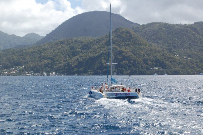 Rodney Bay to Soufriere Catamaran Transfer - Authenticity and Customer Feedback