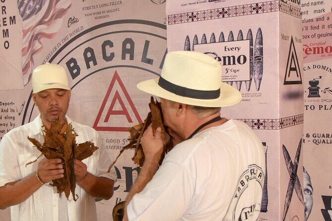 Roll your Own Cigar in Puerto Plata - The Sum Up: Who Is This Experience Best For?