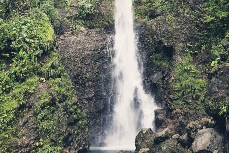 Roseau: Middleham Falls Hike & Titou Gorge Half-Day Trip - A Complete Look at the Tour Experience